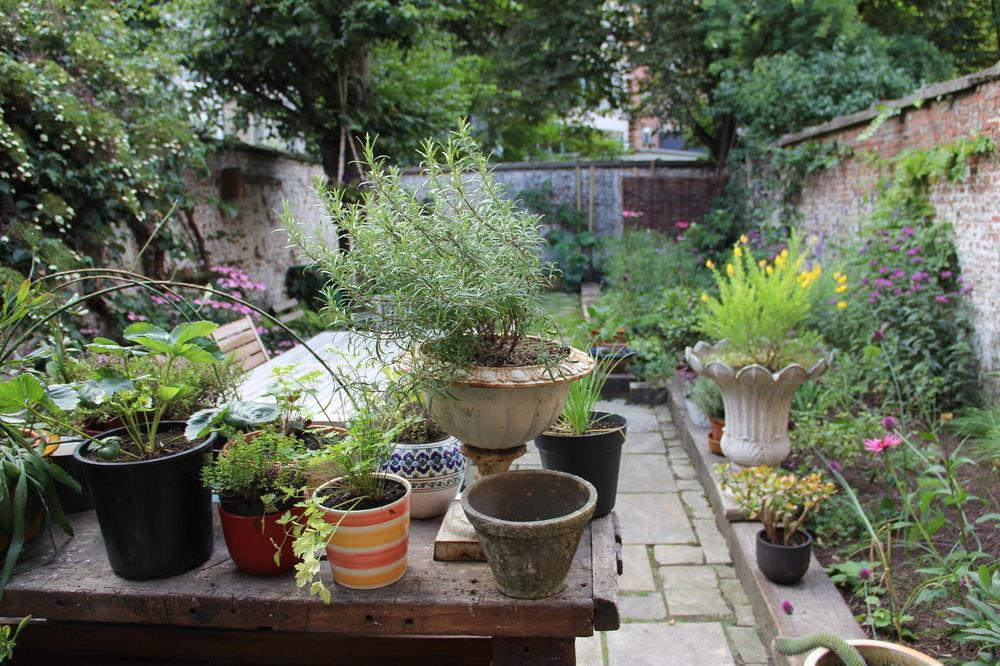 B&B Quatre20Cinq Antwerpia Zewnętrze zdjęcie